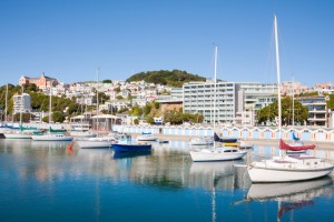 Financial Advice New Zealand